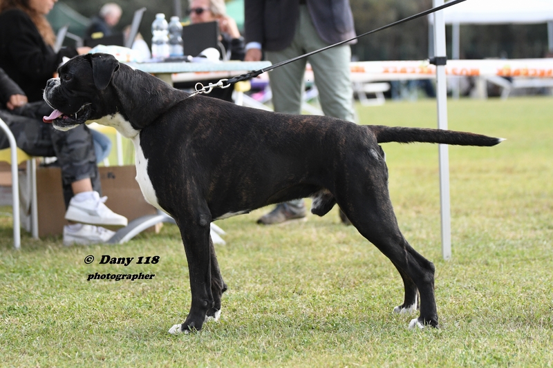 Emilio Boxer Caldarelli